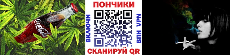 Cannafood конопля  Купить закладки  Пудож 