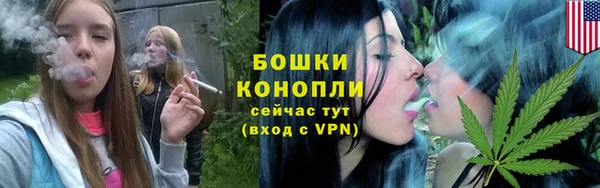 дживик Коряжма