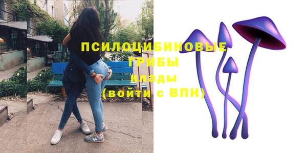 ECSTASY Козловка
