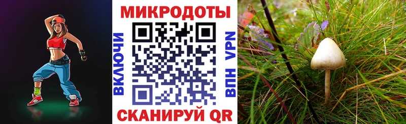 Купить закладки  Пудож  Галлюциногенные грибы мицелий 